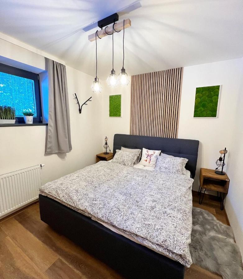 U Jelena Harrachov - Rodinny Apartman U Lesa S Garazi Exterior photo